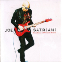 Joe SATRIANI - Black Swans And Wormhole Wizards