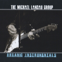 The Michael LANDAU GROUP - Organic Instrumentals