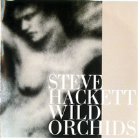 Steve HACKETT - Wild Orchids