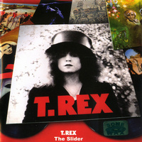 T.REX - The Slider