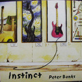 Instinct - 1994