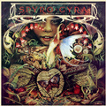SPYRO GYRA - 1979